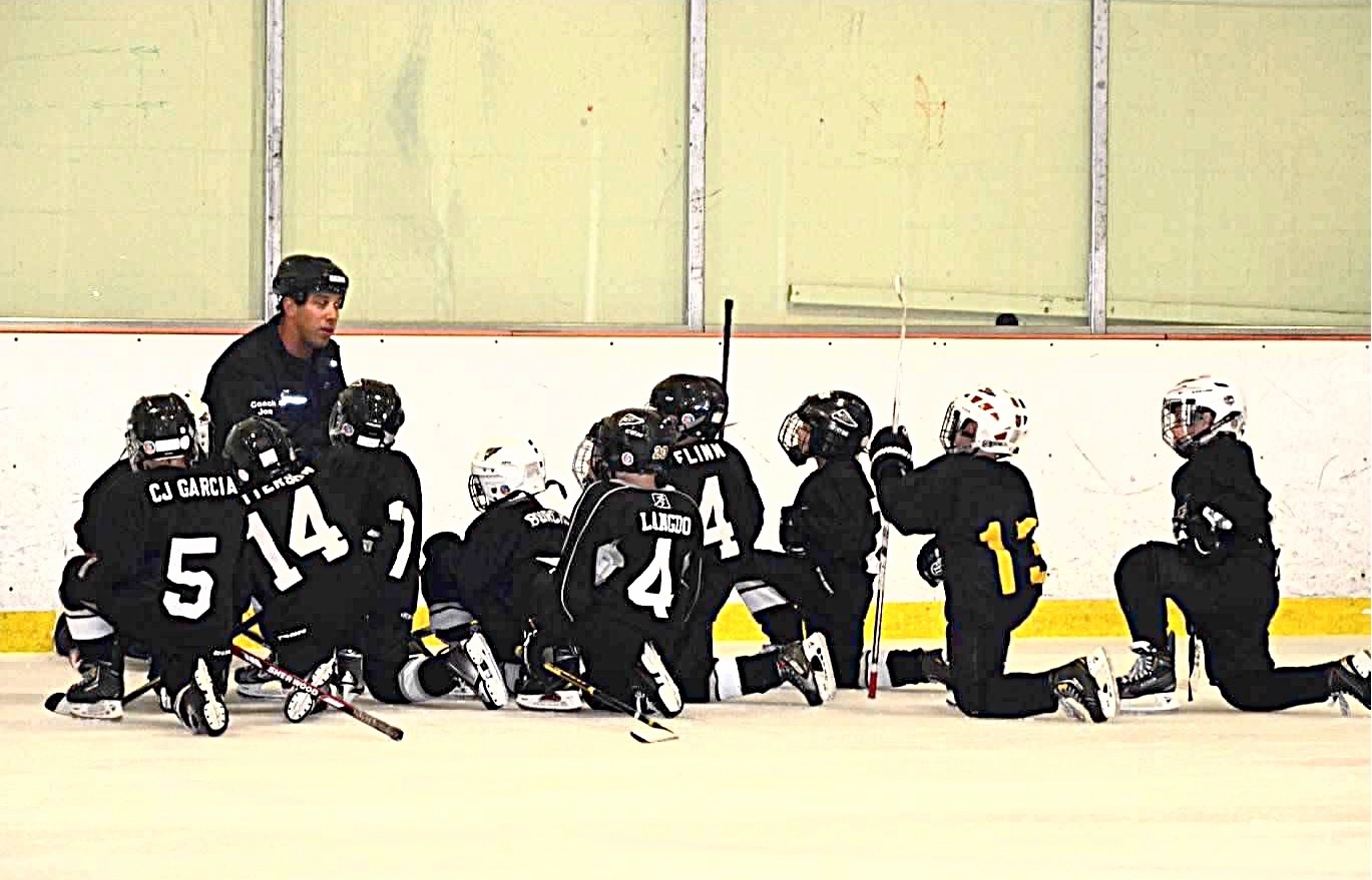 4Check Hockey history